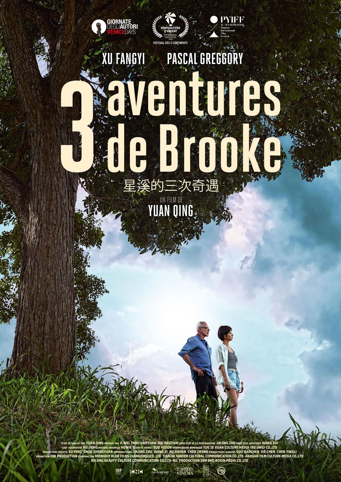3 aventures de Brooke - Film (2020) streaming VF gratuit complet