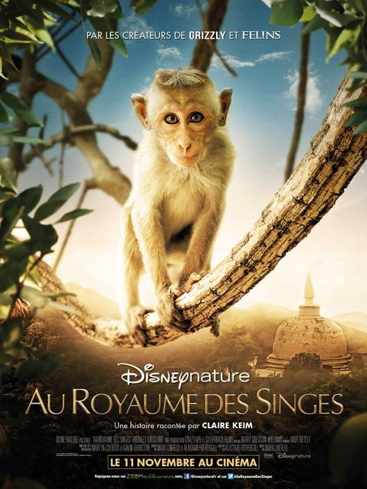 Au royaume des singes - Documentaire (2015) streaming VF gratuit complet