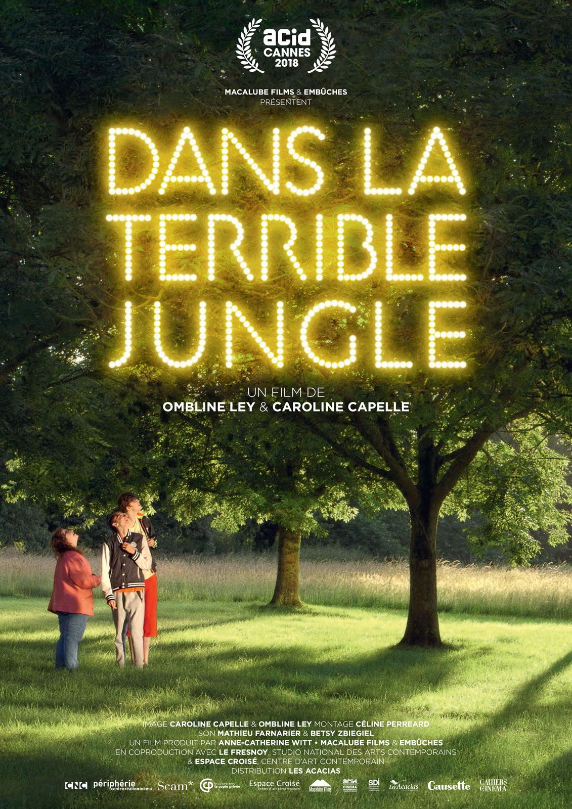 Dans la terrible jungle - Documentaire (2019) streaming VF gratuit complet