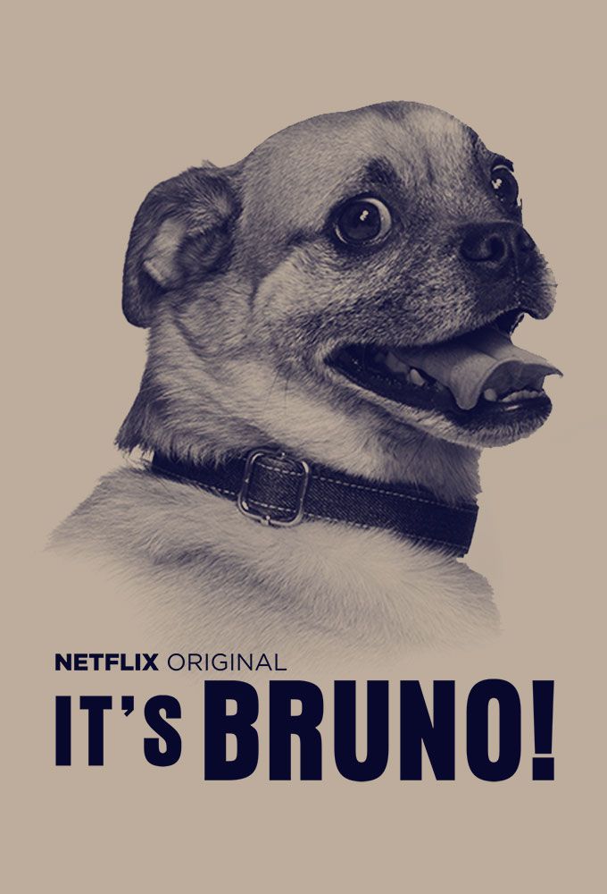 It’s Bruno! - Série (2019) streaming VF gratuit complet