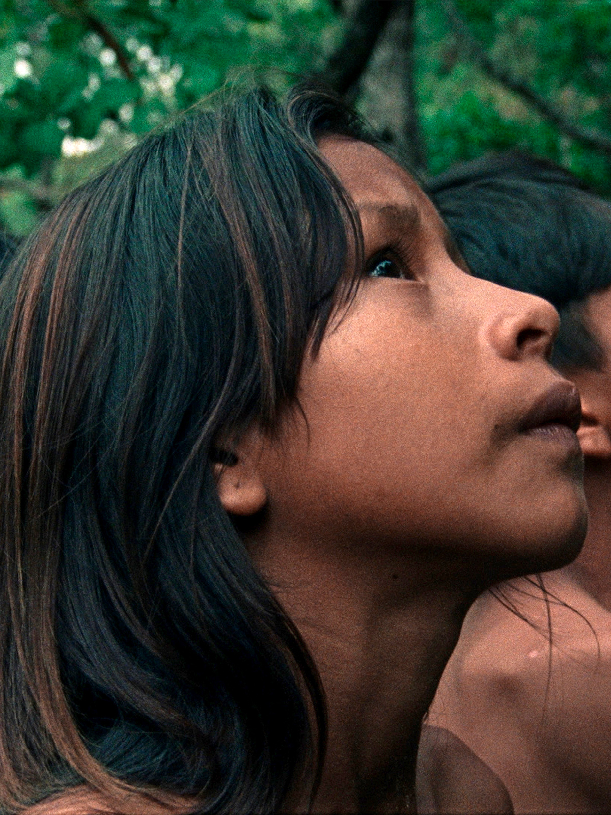 La Fleur de Buriti - film 2023 streaming VF gratuit complet