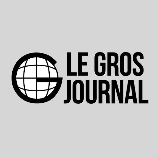 Le Gros Journal - Émission TV (2016) streaming VF gratuit complet