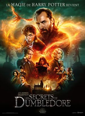 Film Les Animaux fantastiques - Les Secrets de Dumbledore - Film (2022)