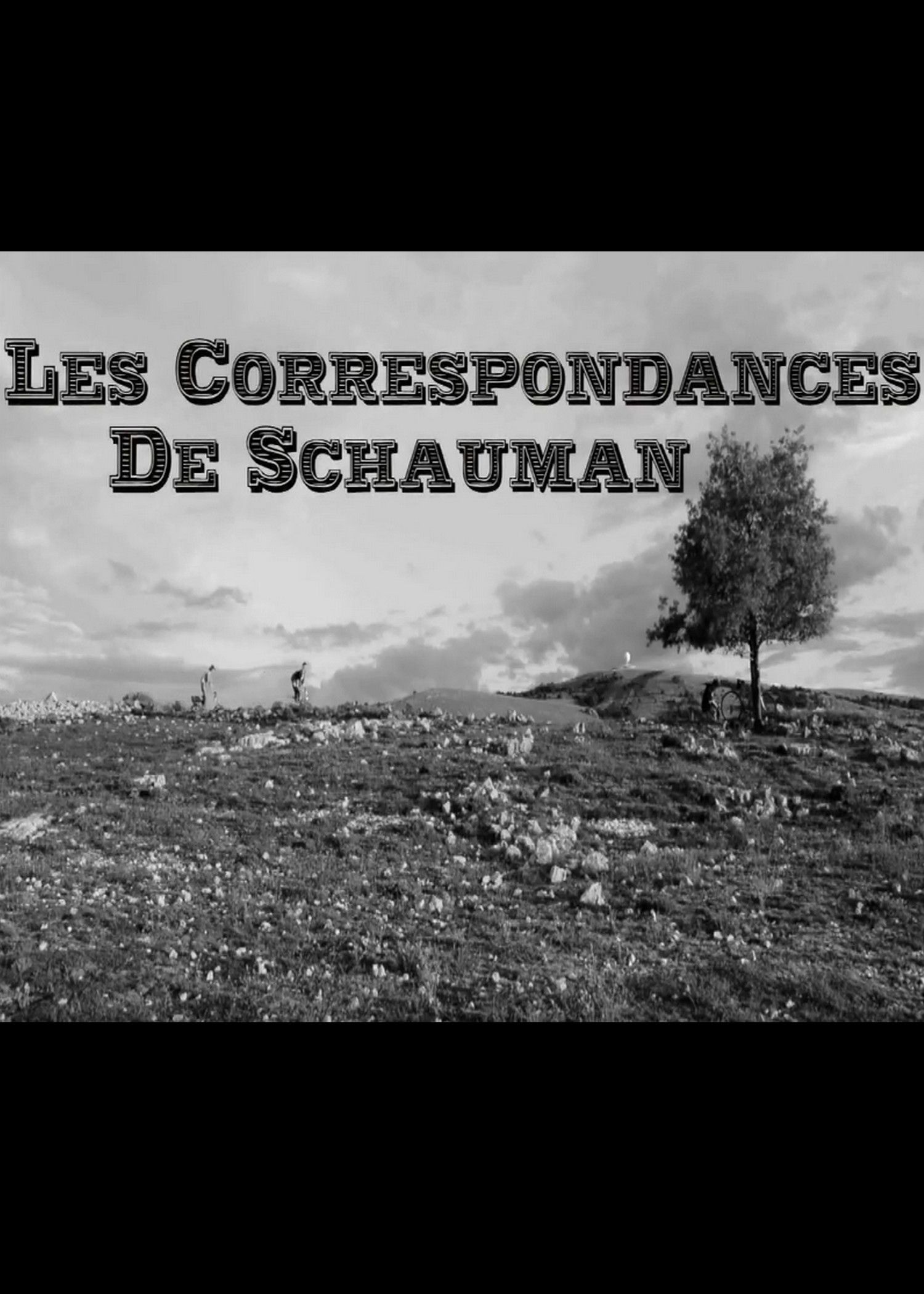 Les Correspondances de Schauman - Film (2014) streaming VF gratuit complet