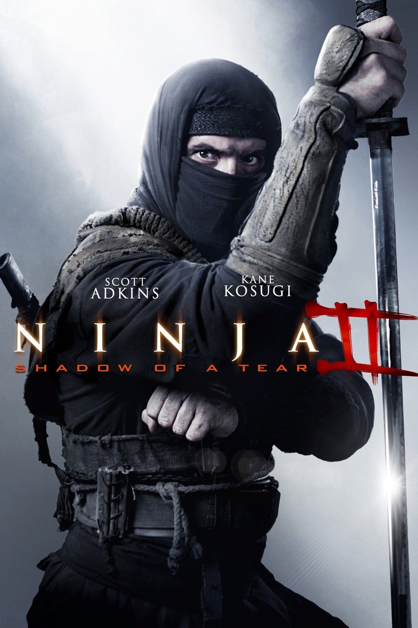 Ninja II Shadow of a Tear - Film (2014) streaming VF gratuit complet