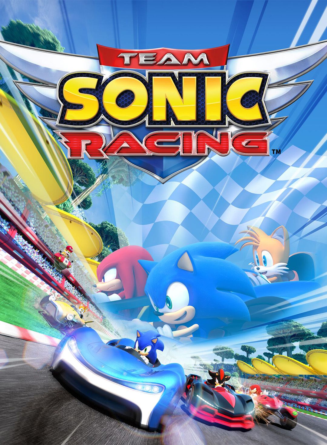 Film Team Sonic Racing (2019)  - Jeu vidéo