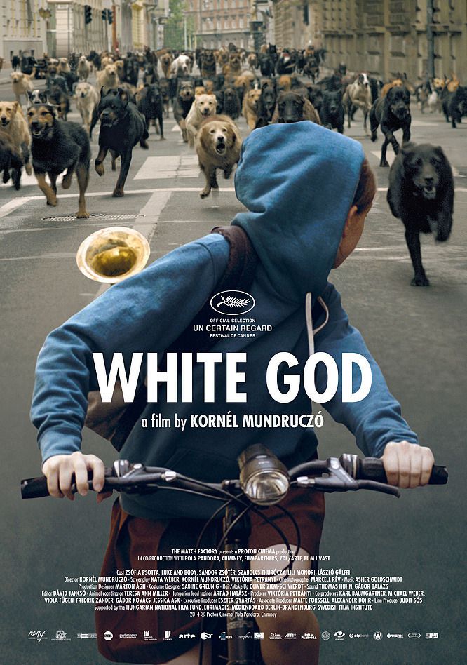White God - Film (2014) streaming VF gratuit complet